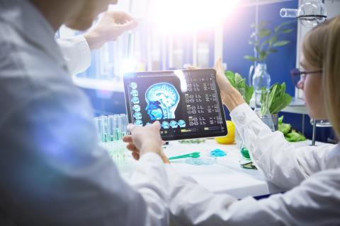 Male and female scientist looking at brain scan